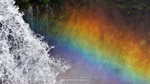 ワイドスクリーン自然壁紙(16:9-1600x900)－滝しぶき虹