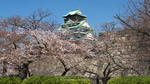 ワイドスクリーン自然壁紙(16:9-1600x900)－春の大阪城の風景