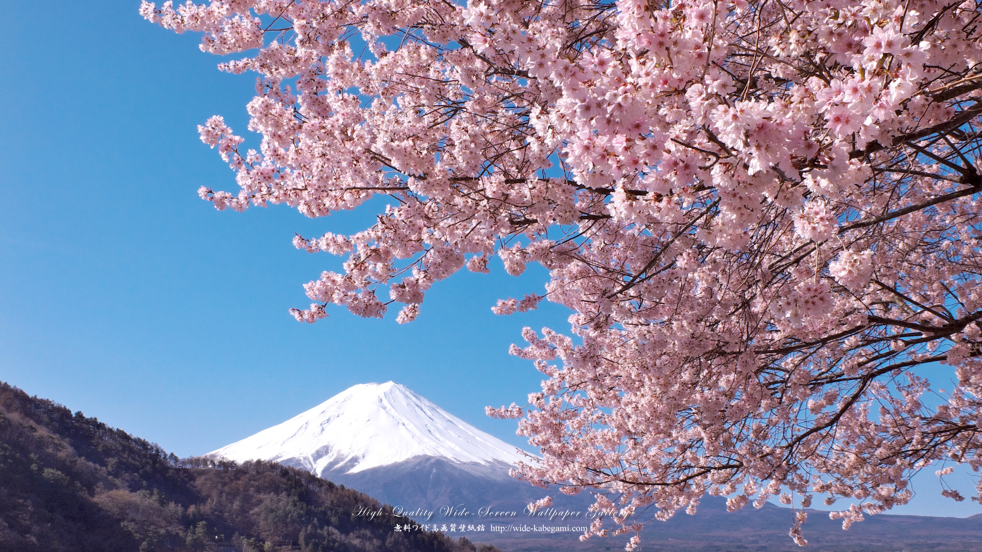 ワイド壁紙(1920x1080)－桜と富士山