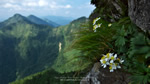 ワイドスクリーン自然壁紙(16:9-1920x1080)－石鎚山の山岳風景