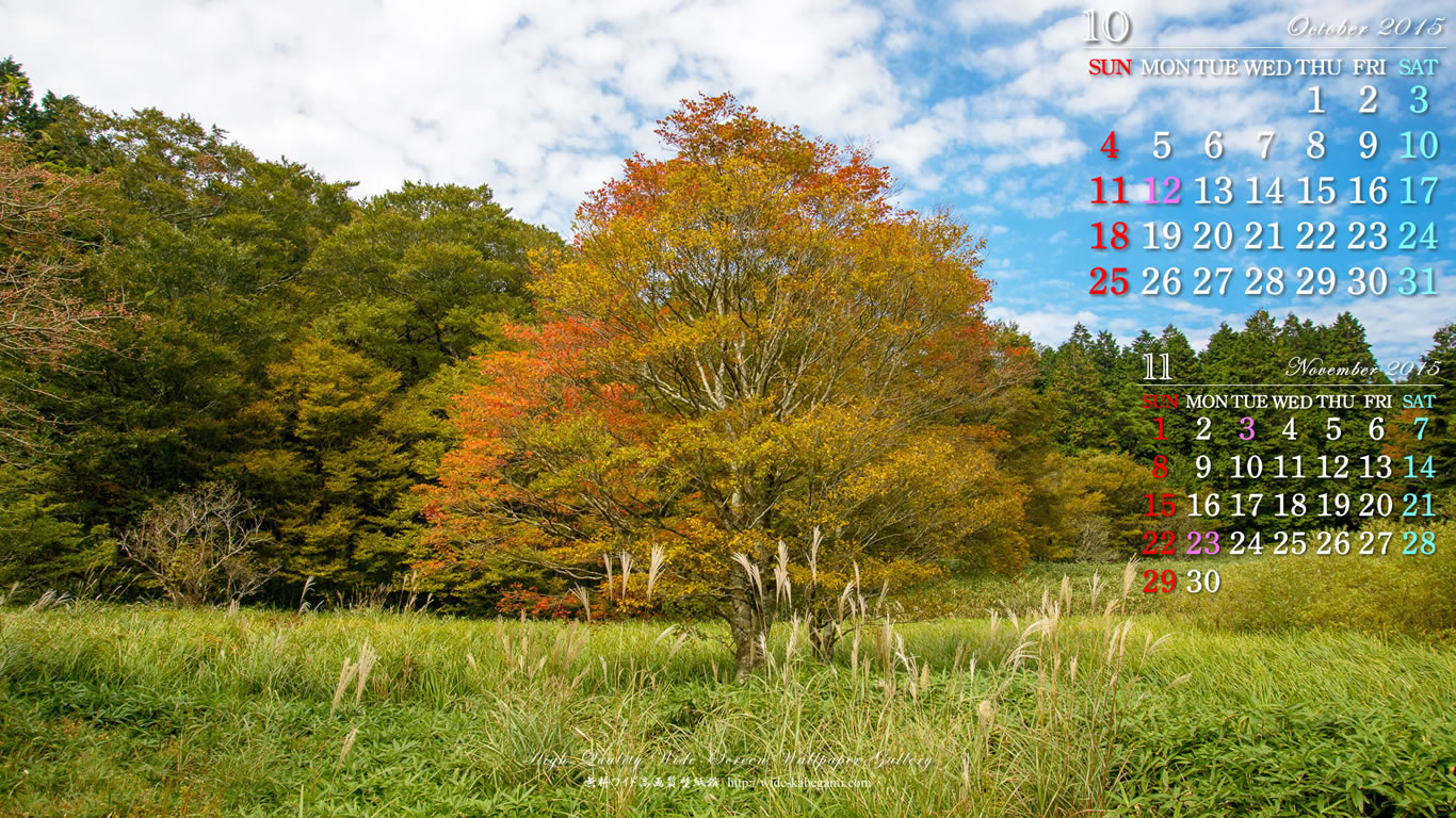 今月のカレンダー壁紙－竜神平秋景-1