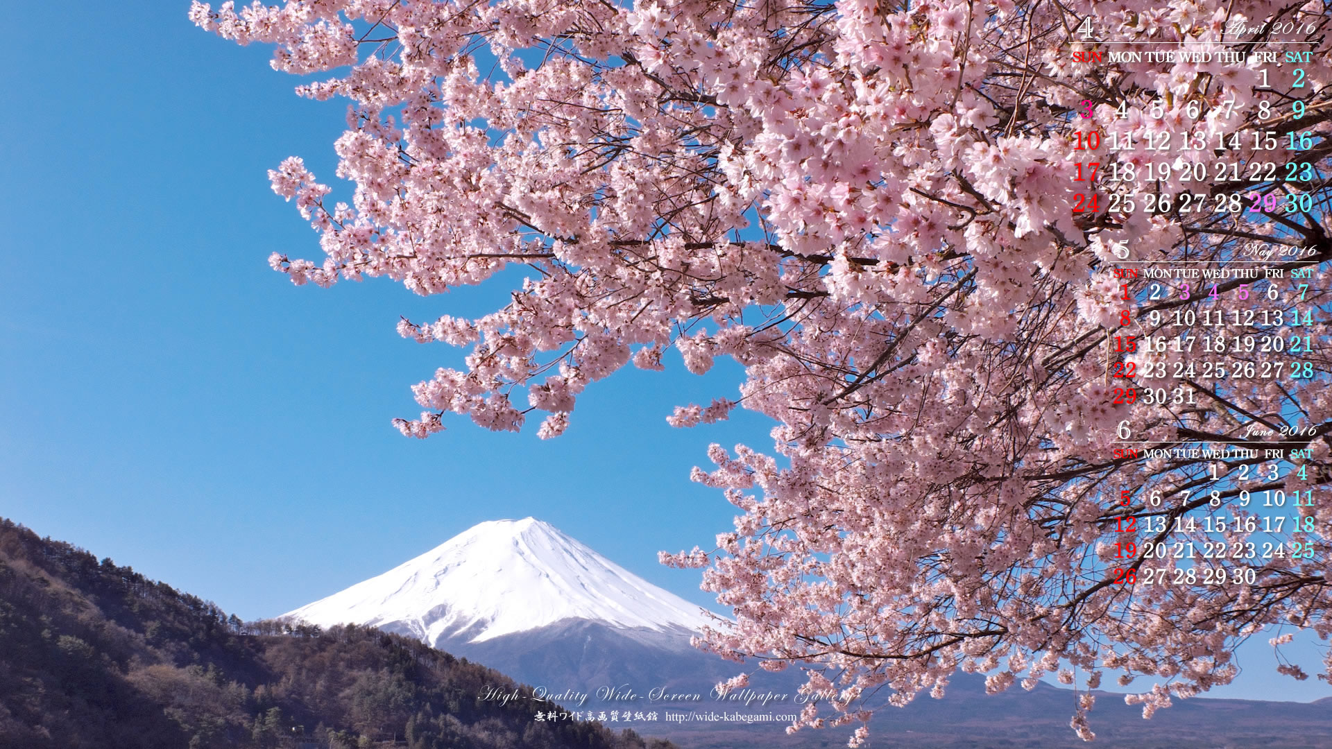 今月のカレンダー壁紙－富士山と桜