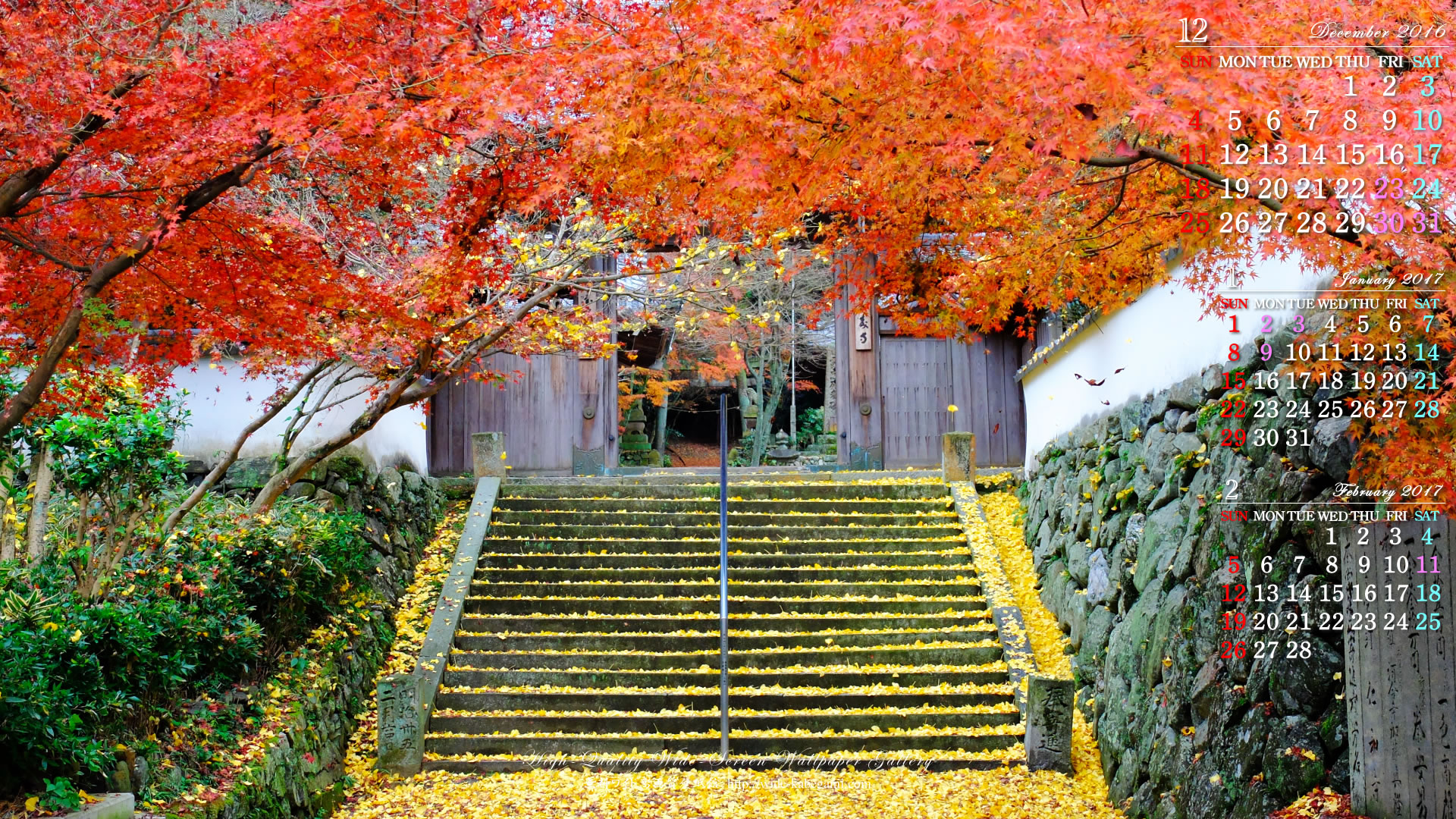 今紅葉と黄葉のカレンダー壁紙－紅葉と黄葉