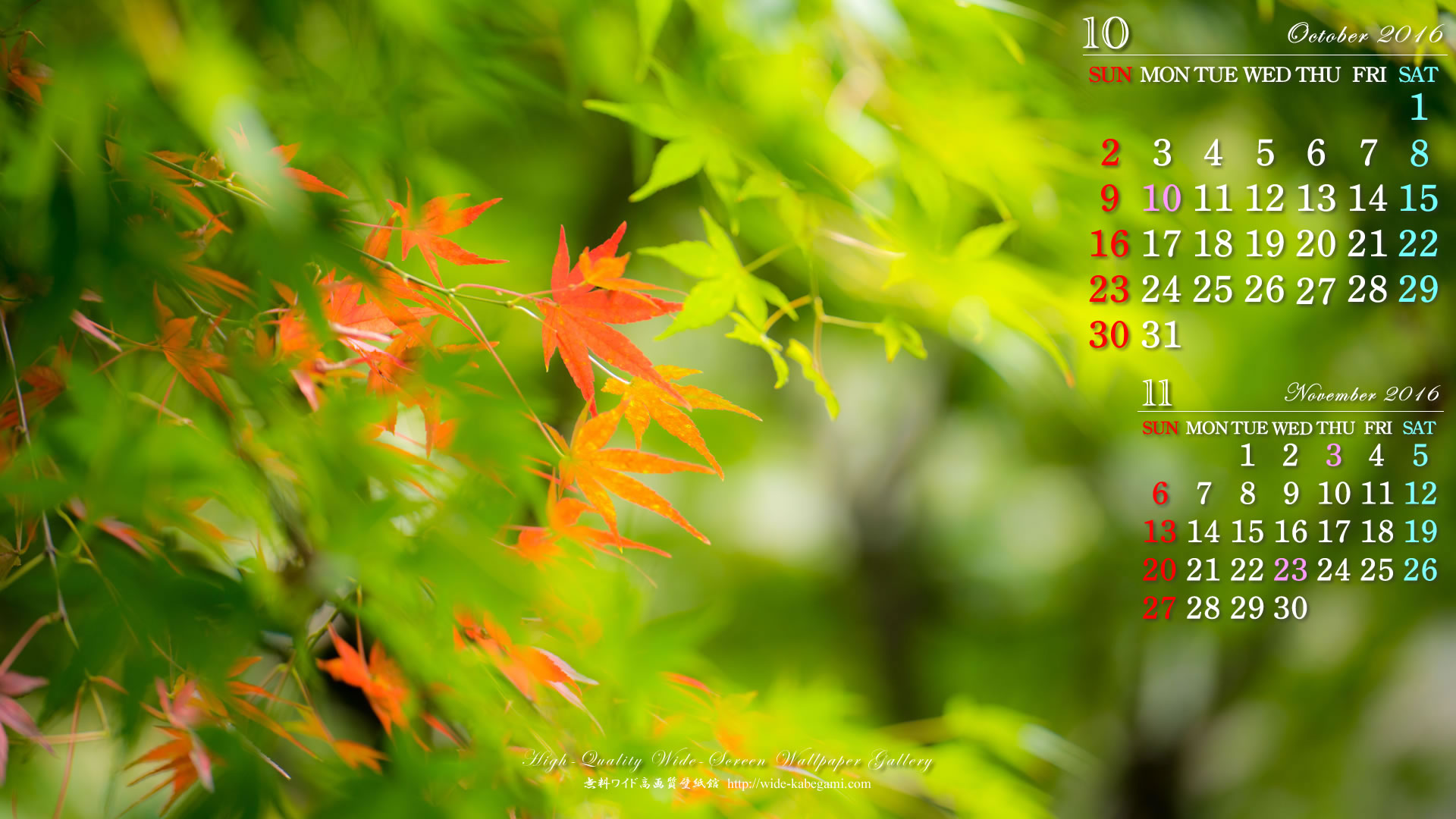 10月のカレンダー壁紙－秋の装い