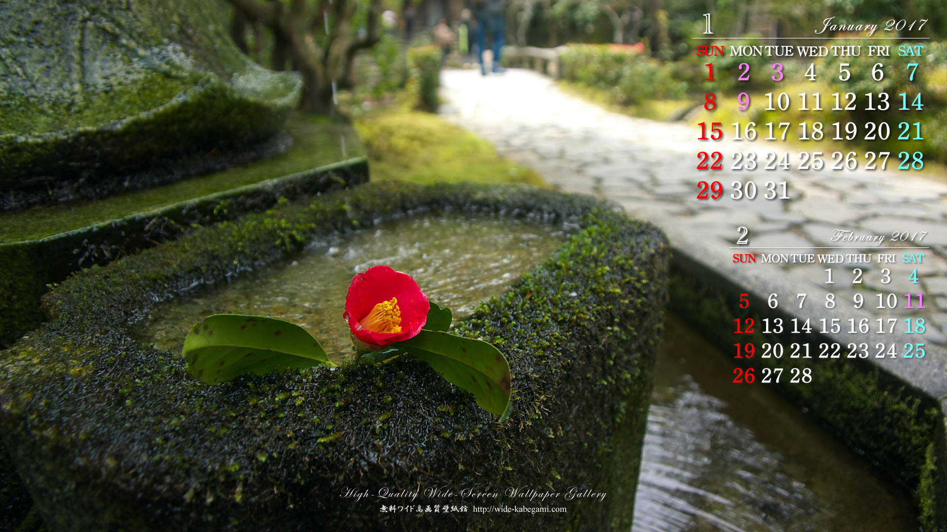 12月のカレンダー壁紙－参道の椿