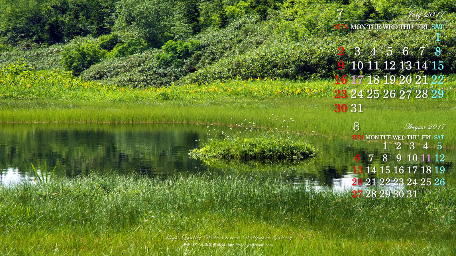 ７月のカレンダー壁紙－湿原の浮島