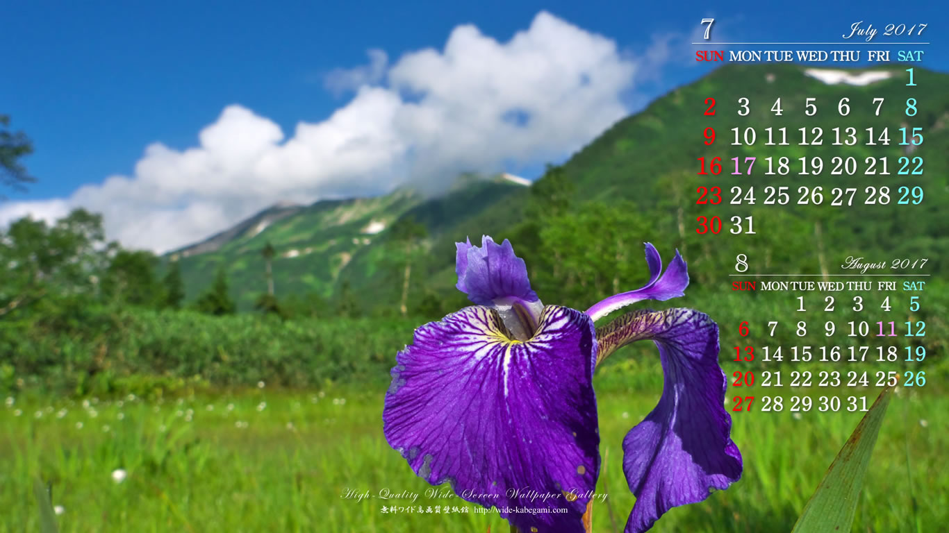７月のカレンダー壁紙－アヤメ咲く湿原