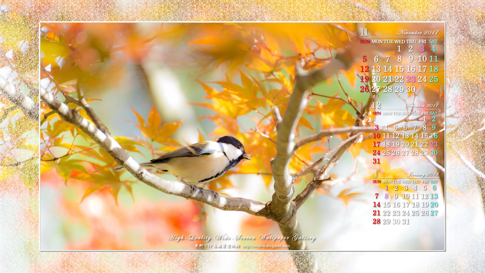 11月のカレンダー壁紙－秋色の四十雀