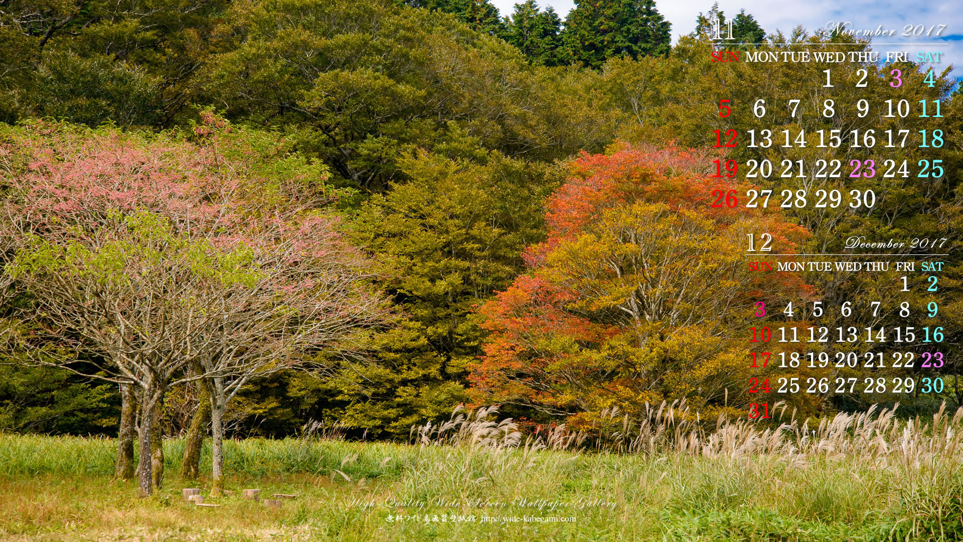 11月のカレンダー壁紙－真弓の実と紅葉