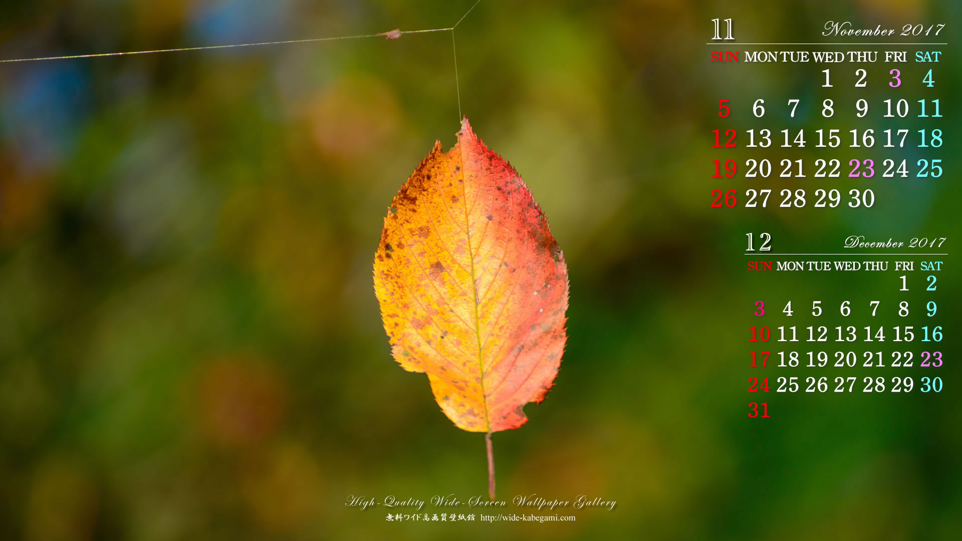 11月のカレンダー壁紙－一枚の秋