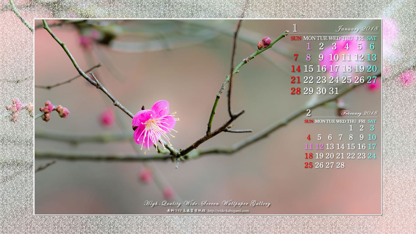 1月のカレンダー壁紙－梅の花-1