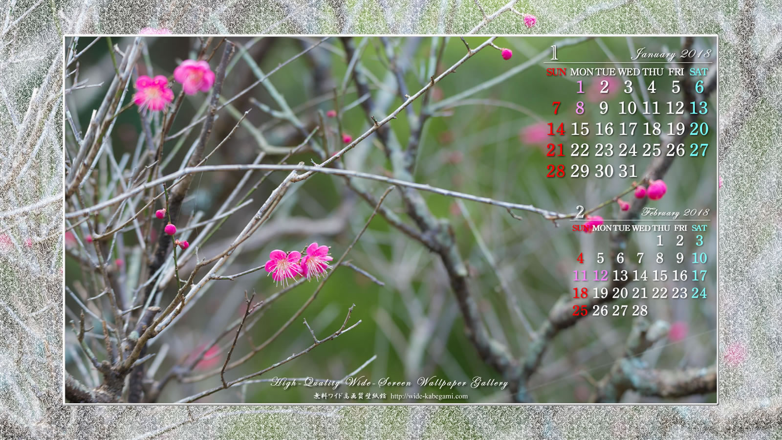1月のカレンダー壁紙－梅の花-3
