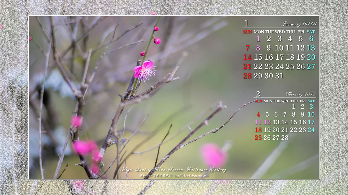 1月のカレンダー壁紙－梅の花-4