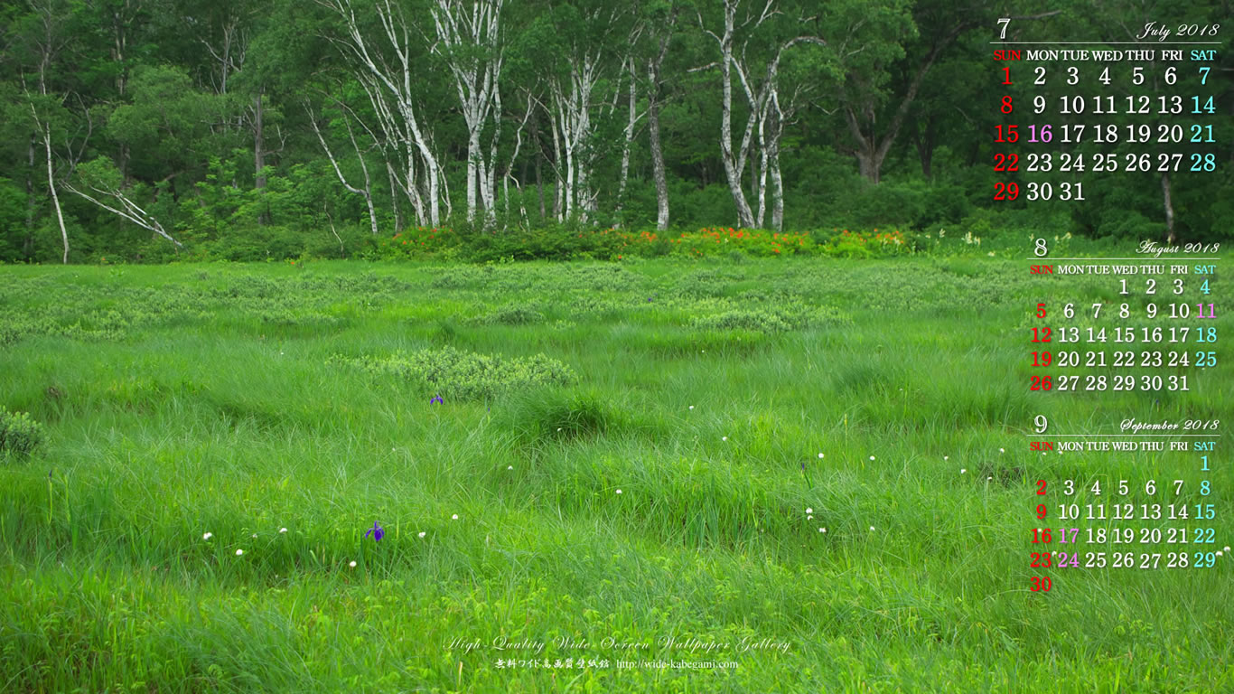 5月のカレンダー壁紙－尾瀬ヶ原湿原