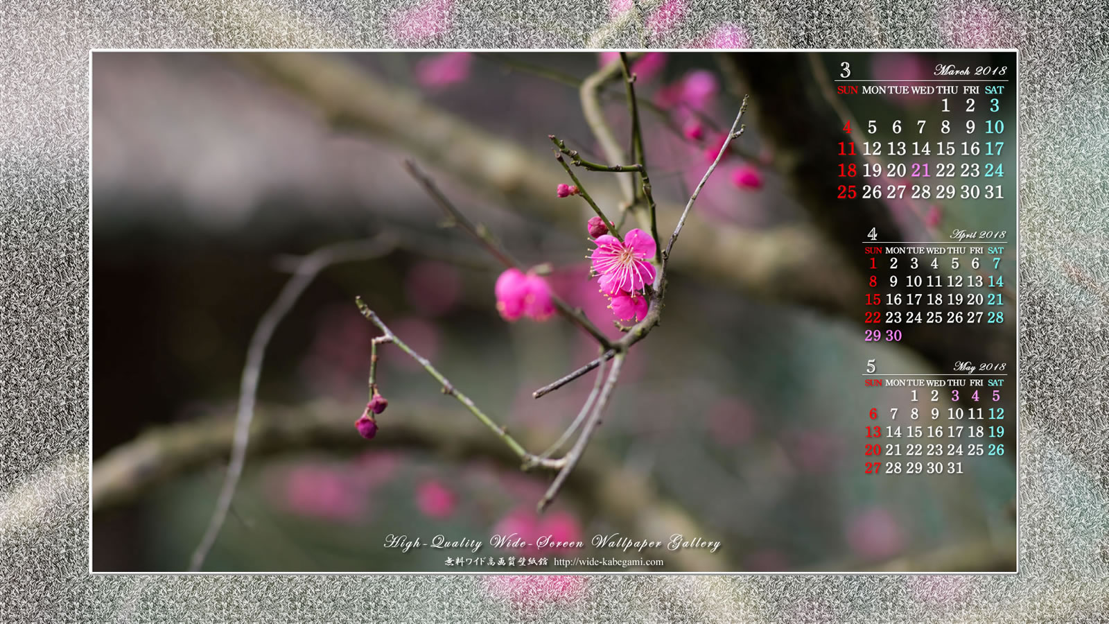 3月のカレンダー壁紙－庭の紅梅