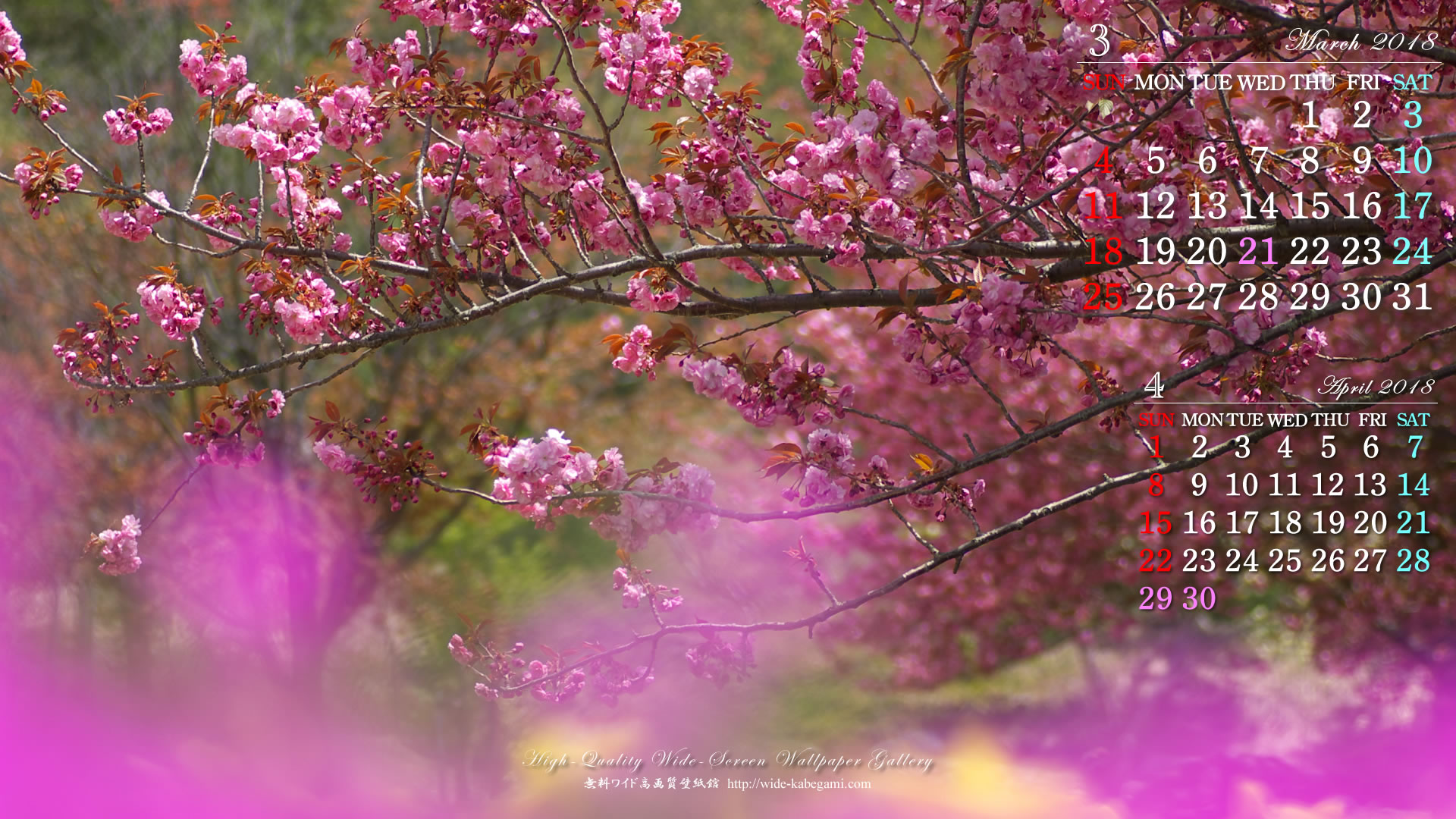3月のカレンダー壁紙－公園の桜