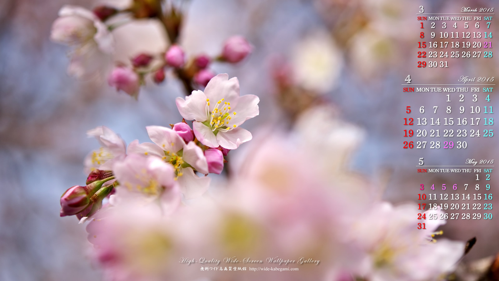 2015年4月のカレンダー壁紙－桜