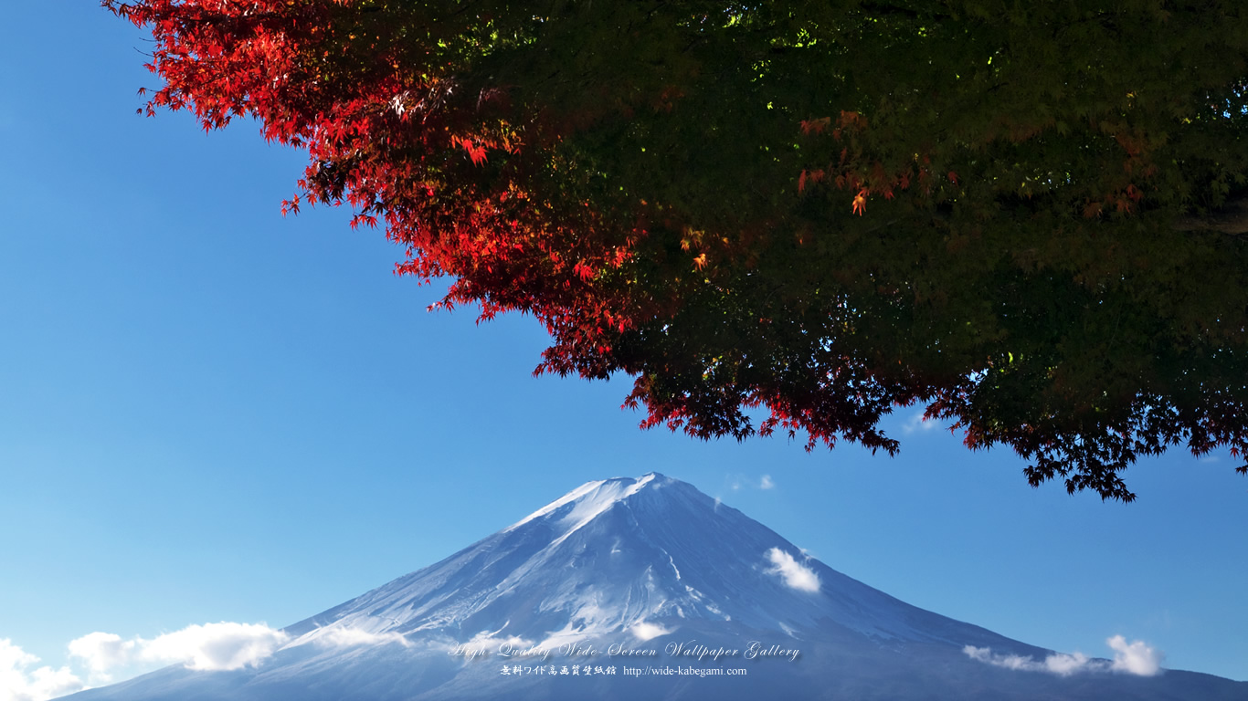 ワイド自然壁紙(16:9-1366x768)－紅葉と富士山