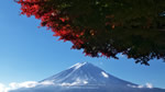 ワイドスクリーン自然壁紙(16:9-1366x768)－富士山と紅葉