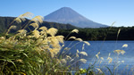 ワイドスクリーン自然壁紙(16:9-1366x768)－富士山とススキ