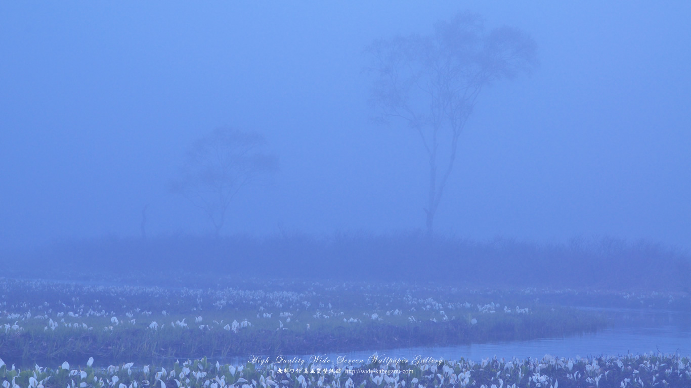 ワイド自然壁紙(16:9-1366x768)－湿原霧景