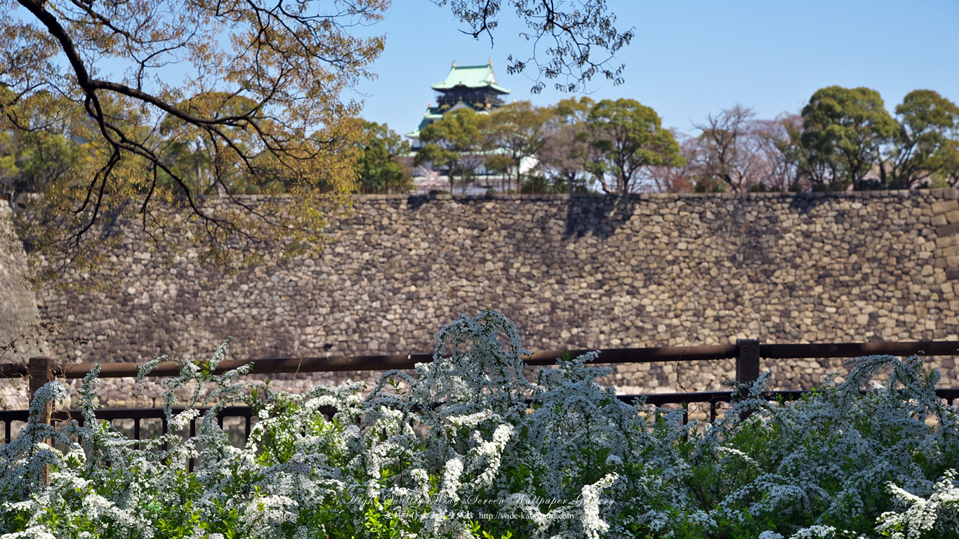 ワイド自然壁紙(16:9-1366x768)－大阪城-3