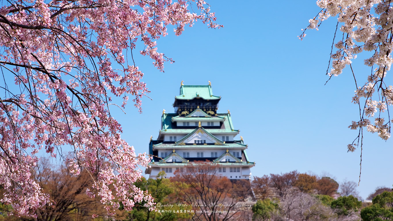 ワイド自然壁紙(16:9-1366x768)－大阪城と桜-5