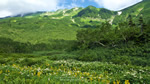 ワイドスクリーン自然壁紙(16:9-1600x900)－湿原から仰ぎ見る峰