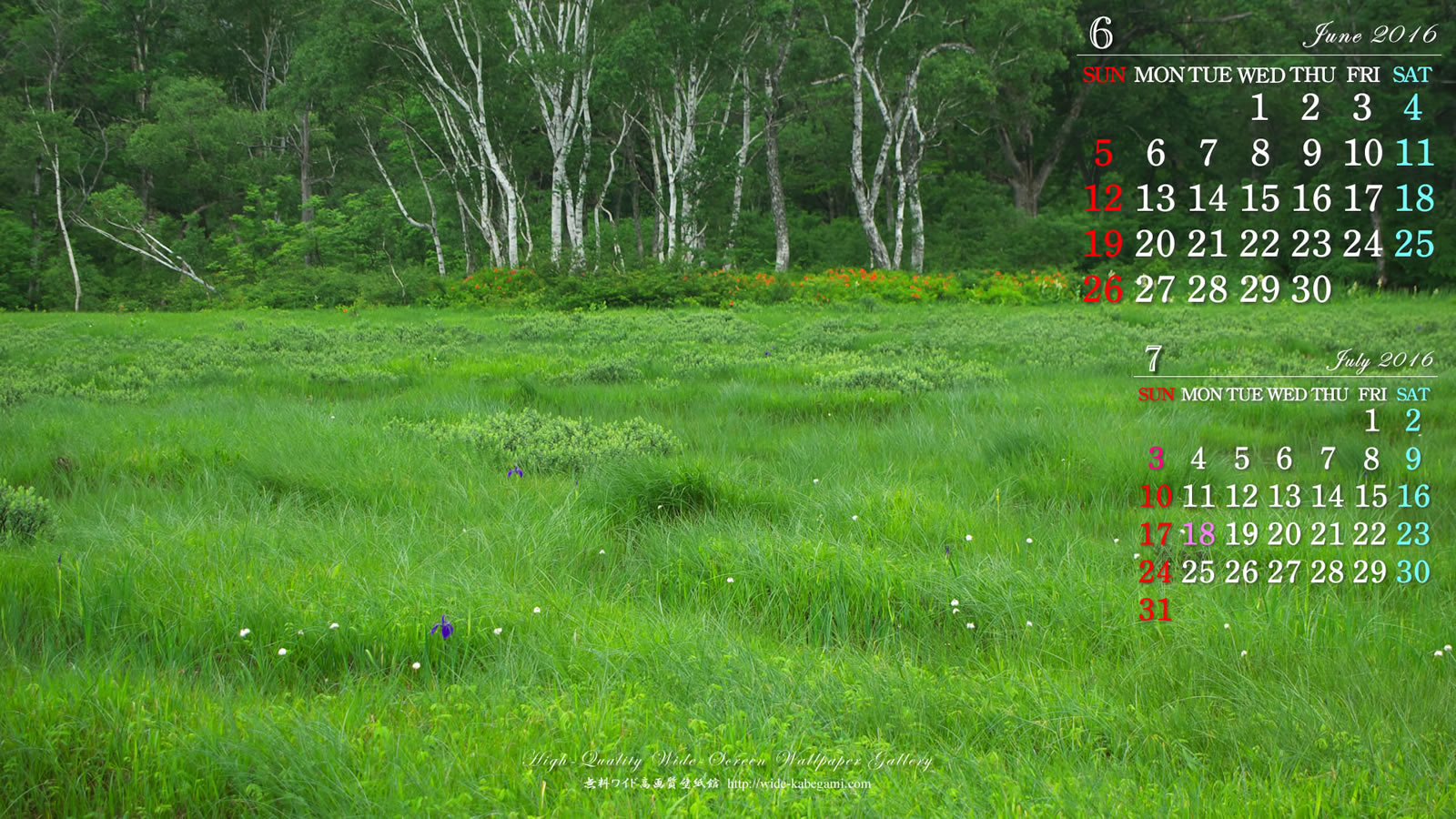 6月の２ヶ月ワイド壁紙カレンダー 1600x900 初夏の湿原 無料ワイド高画質壁紙館