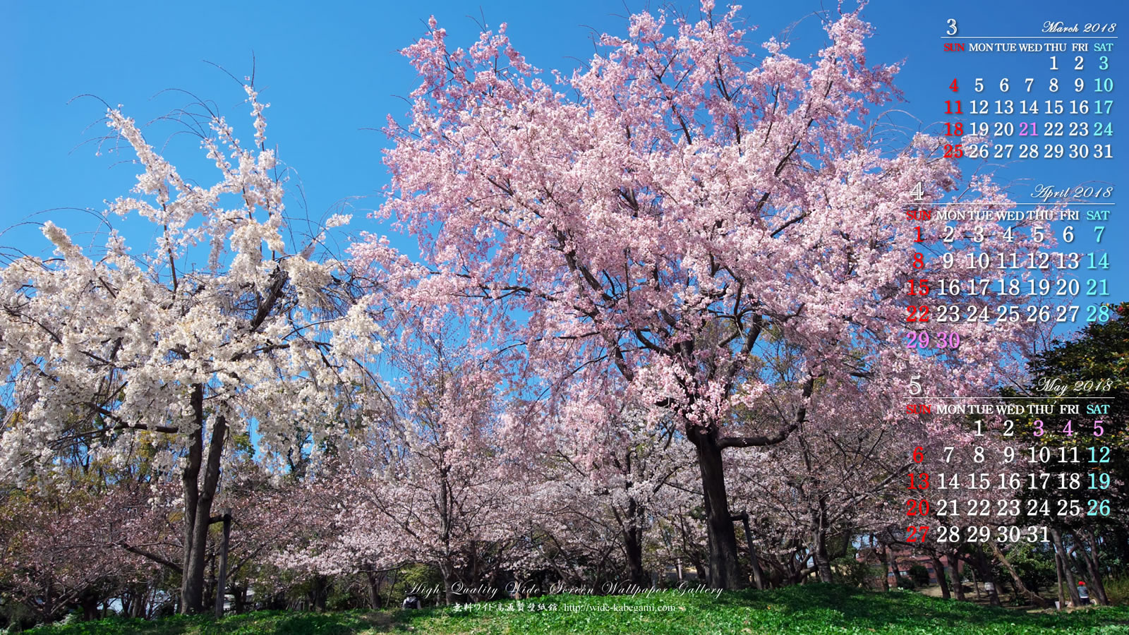 18年4月の前月表示の３ヶ月ワイド壁紙カレンダー 1600x900 桜のある風景 1 無料ワイド高画質壁紙館