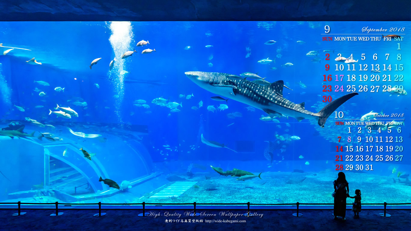 18年9月のカレンダー壁紙 1366x768 美ら海水族館 無料ワイド高画質壁紙館