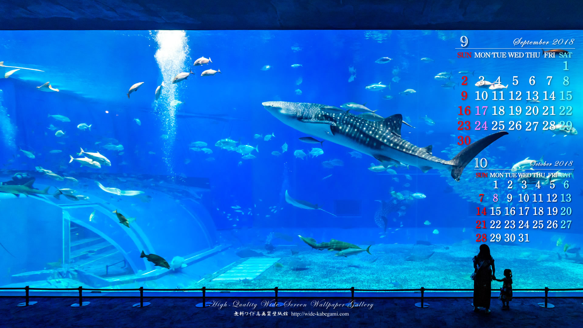 18年9月のカレンダー壁紙 19x1080 美ら海水族館 無料ワイド高画質壁紙館