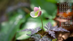 2019年4月の壁紙カレンダー